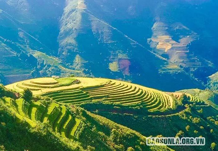 Ruộng bậc thang trên những đồi núi ở bản Xím Vàng.