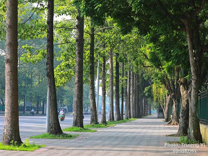 Nắng thu. Ảnh: Trương Văn Vị