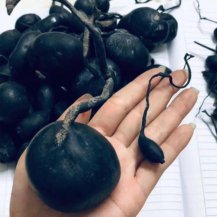 Sâm Ô linh có vị ngọt nhẹ, mùi thơm, tính bình. Trên thế giới, loại sâm này được tìm thấy ở Trung Quốc, Hàn Quốc... Tại Trung Quốc, sâm Ô linh được coi là một loại thảo dược cực kỳ quý hiếm, giá cao.