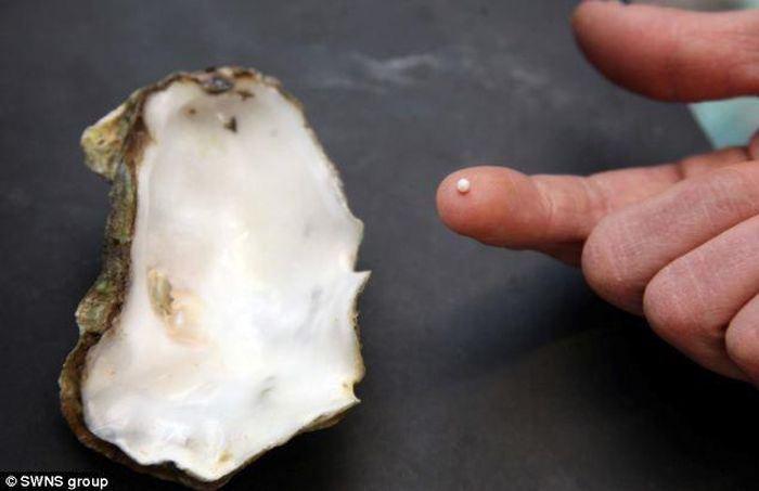 Nhóm bạn vô cùng ngạc nhiên khi nhận ra thứ họ vừa tìm thấy là một con trai có kích thước khá lớn. Họ mang nó về chỗ cắm tại.