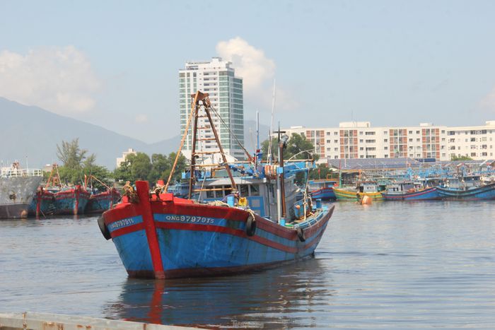Hiện Sở NN&amp;PTNT chưa cho phép tàu cá của ngư dân ngoại tỉnh không xuất bến tại cảng cá Thọ Quang vào bốc dỡ hàng hóa; chưa cho phép tiểu thương không có mặt bằng cố định, những người buôn bán nhỏ lẻ, tiểu thương bán hàng tạp hóa, ăn uống, giải khát… hoạt động.