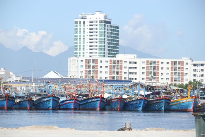 Hầu hết các tàu cá vẫn neo đậu, chưa ra khơi vì cần có thời gian kiểm tra tàu, mua lương thực thực phẩm, tiếp nhiên liệu…và quan trọng nhất là không đủ lao động. 