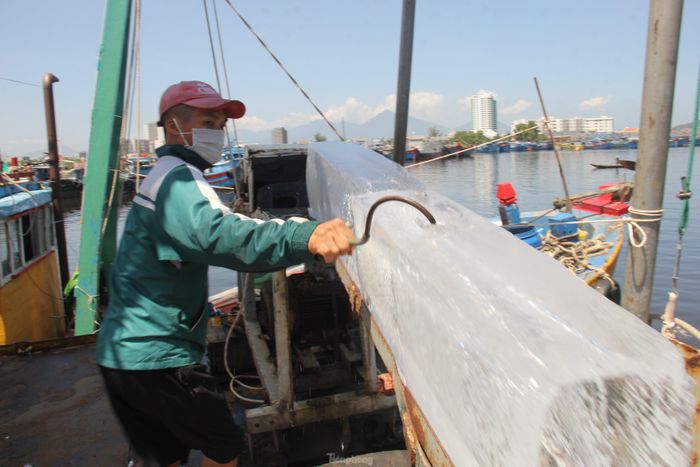 Số lượng người làm việc trong cảng cá cùng thời điểm được giới hạn không quá 300 người. Số lượng tàu thuyền bốc dỡ thủy sản cùng lúc không quá 6 tàu; số lượng ô tô bốc dỡ thủy sản cùng lúc không quá 50 xe…