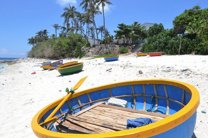  Thuyền thúng nằm dọc bãi biển.