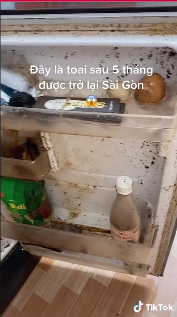 Phần nữa, trong khoảng thời gian không có ai ở phòng trọ, một số vấn đề như cúp điện, tủ lạnh hỏng… đều có thể xảy ra, dẫn đến nỗi ám ảnh như trên bức ảnh.