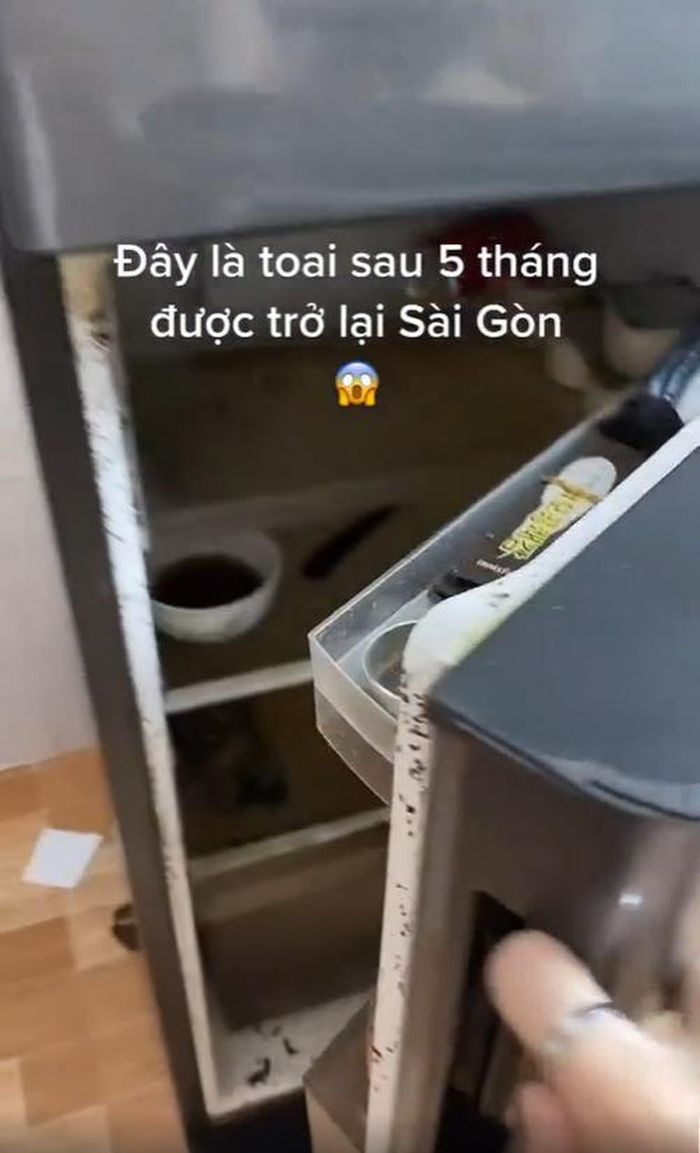 Chiếc tủ lạnh mốc meo, đồ ăn thối rữa, vừa chảy nước đen vừa bọ bay cả đàn khi mở ra trong clip trên chính xác là nỗi ám ảnh lớn nhất của dân tình khi về quê quá lâu mới quay lại Sài Gòn.