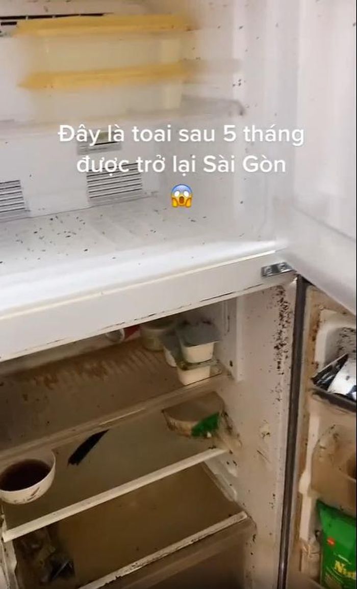 Có người vẫn mải miết đi tìm nguyên nhân cho sự cố trên. Bên cạnh đó, một số kinh nghiệm bày cách cho chủ nhân clip giải quyết đống bề bộn bên trong tủ lạnh, trả lại nó vẻ đáng yêu vốn có cũng được đưa ra.