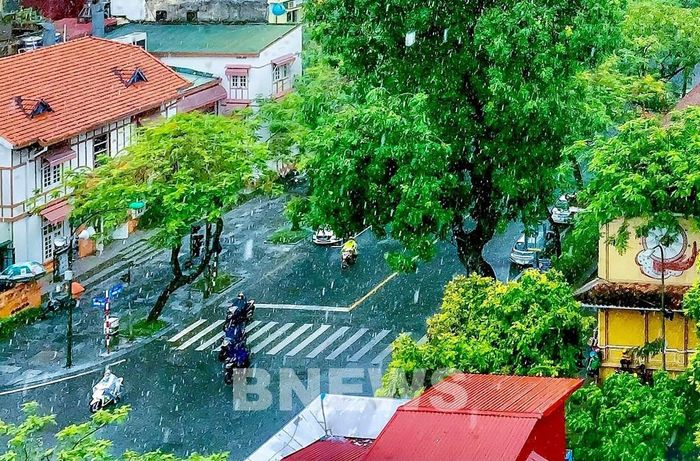 Mùa thu Hà Nội đôi khi không thể thiếu những cơn mưa bất chợt. Ảnh: Đức Hạnh/BNEWS/TTXVN