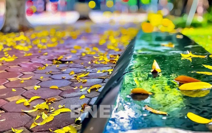 Sau những cơn mưa xối xả, con đường thưa vắng, lá vàng rơi bịn rịn dưới chân. Ảnh: Đức Hạnh/BNEWS/TTXVN