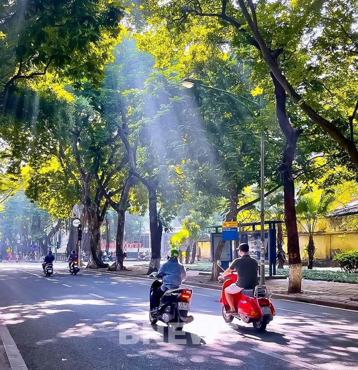 Ánh nắng mùa Thu trong vắt chiếu rọi qua các hàng cây xanh trên phố Phan Đình Phùng. Ảnh: Đức Hạnh/BNEWS/TTXVN