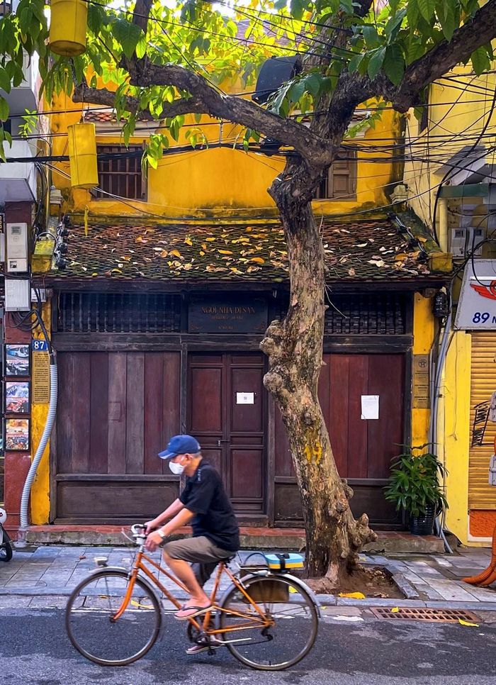 Thu là mùa của nỗi nhớ, của hoài niệm nhưng không phải mùa để nhớ và đau về những nỗi buồn đã cũ. Ảnh: Đức Hạnh/BNEWS/TTXVN