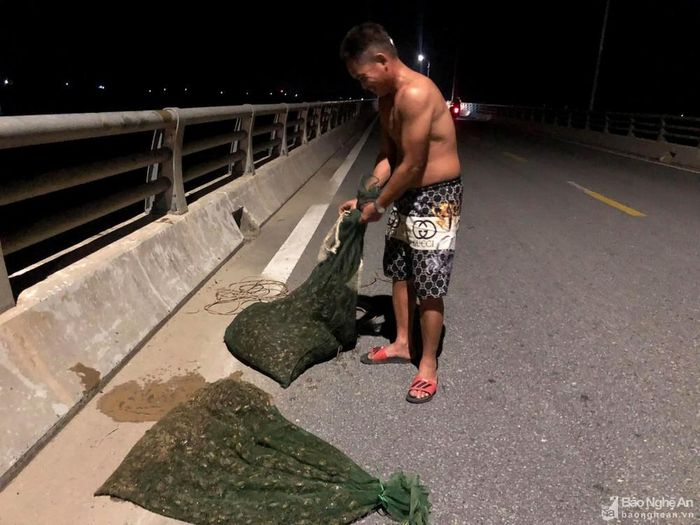 Để khỏi phải mang những bì cáy vượt qua những con lạch hay lội trên bãi lác về làng, một số người đã thả dây thừng xuống bãi sông và kéo những bì cáy lên cầu Yên Xuân. Ảnh: Huy Thư