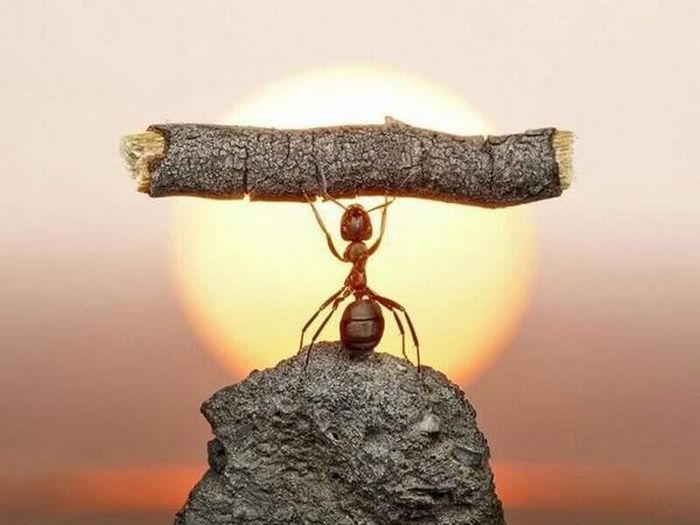Người kiên trì sẽ tìm cách thoát khỏi lo lắng, nóng vội cá nhân để đối mặt với cuộc sống. Có câu “lòng không động thì gió không thể lay”. Người kiên trì sẽ không phá vỡ kế hoạch của mình khi đứng trước khó khăn nhất thời. Thay vào đó, họ sẽ chiến đấu kiên định, làm việc chăm chỉ mỗi ngày để đạt được thành quả. 