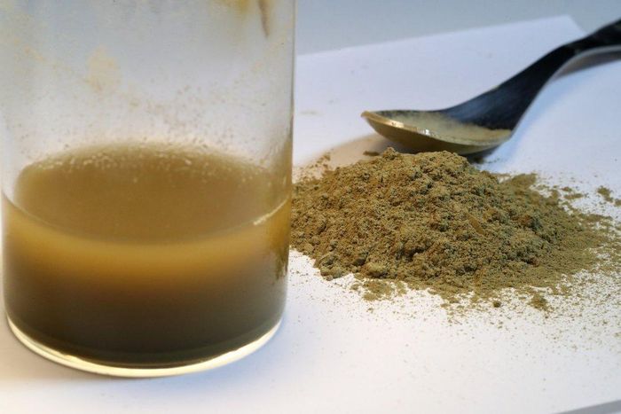  Kratom được cho là giảm ảnh hưởng của việc nghiện opioid. Ảnh: SCMP. 