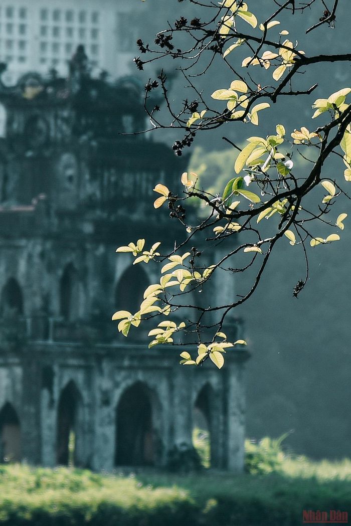 Nắng mùa thu sắc vàng quyến rũ.