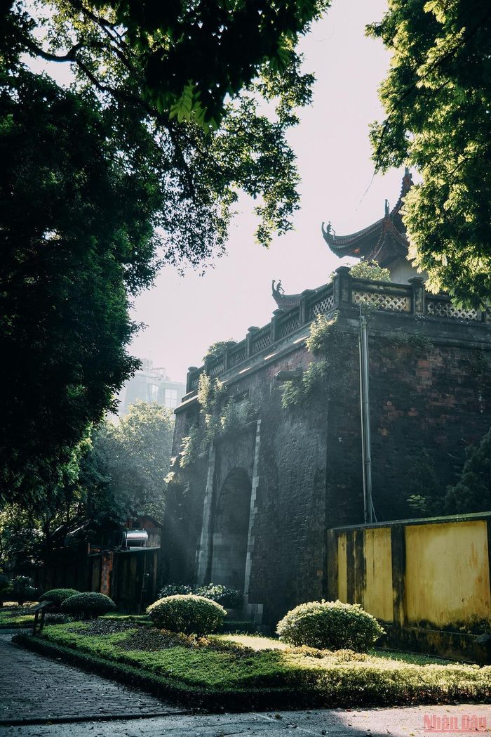 Nắng sớm bên di tích cổng Hoàng thành Thăng Long.