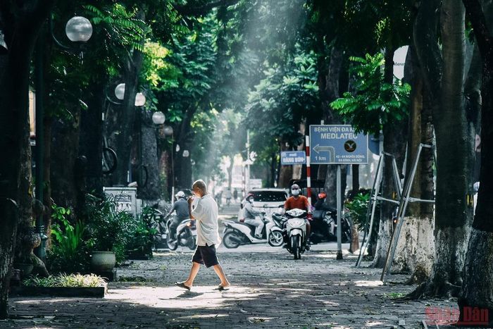 Mọi hoạt động như sôi động dần trở lại trong nắng sớm sau những ngày mưa.