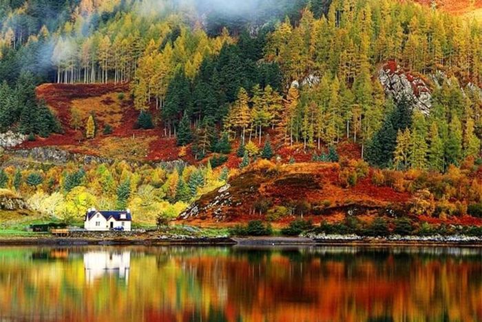 Khung cảnh mùa thu của khu rừng kì diệu trên bờ hồ Lochness
