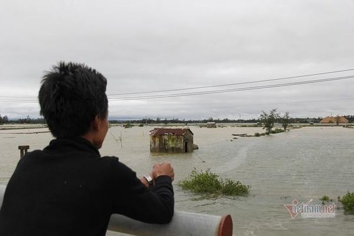 Nhiều diện tích thủy sản bị nước lũ tràn vào gây thiệt hại nặng