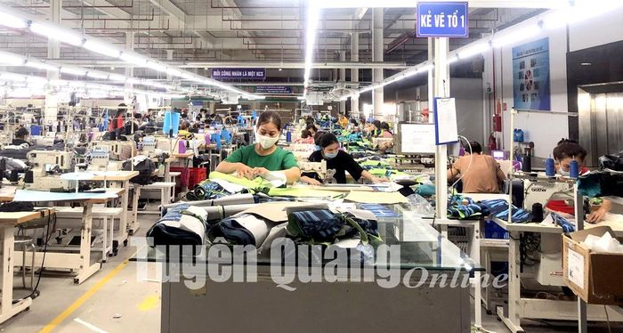 Nhờ nhận thêm các đơn hàng gia công cho doanh nghiệp ở vùng dịch, công nhân Công ty May Tuyên Quang có việc làm liên tục.
