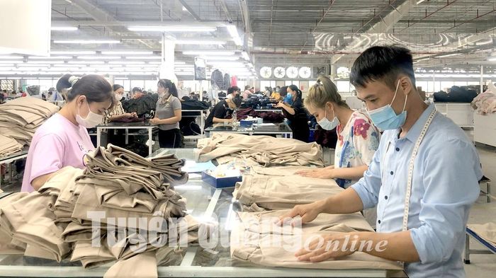 Công nhân Công ty May Tuyên Quang kiểm tra hàng trước khi xuất kho.