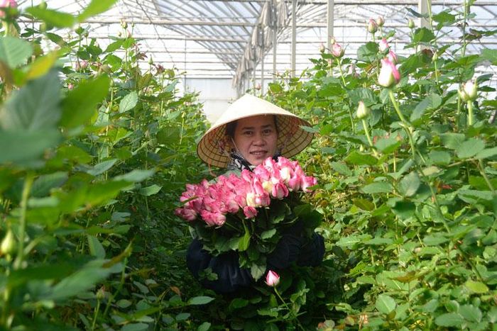 Phụ nữ đóng góp quan trọng trong xây dựng kinh tế gia đình và cộng đồng