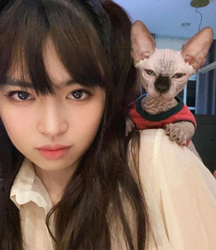 Chưa kip để người hâm mộ đoán già đoán non, Khánh Vân đã chia sẻ luôn lý do xuất hiện của các vết đỏ lạ chính là mèo.