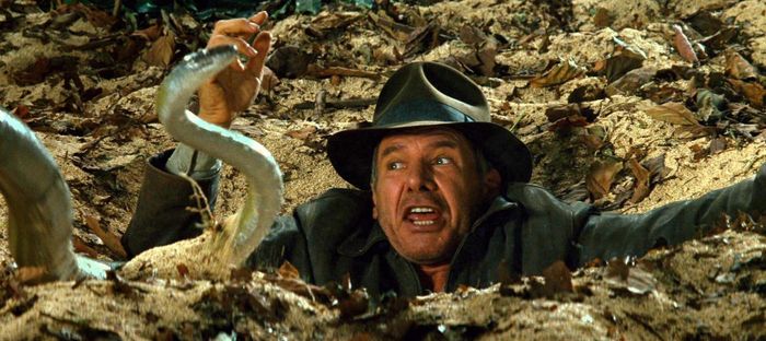 Một cảnh trong loạt Indiana Jones.