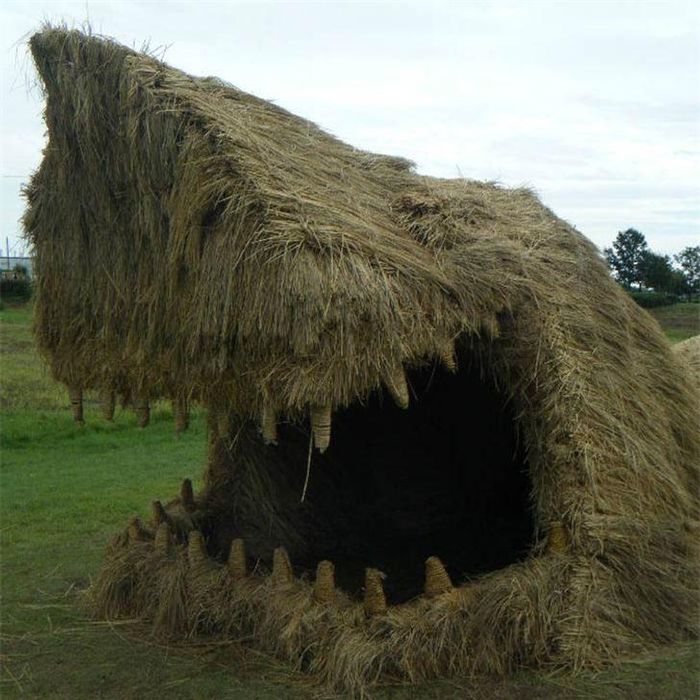 Cá mập.