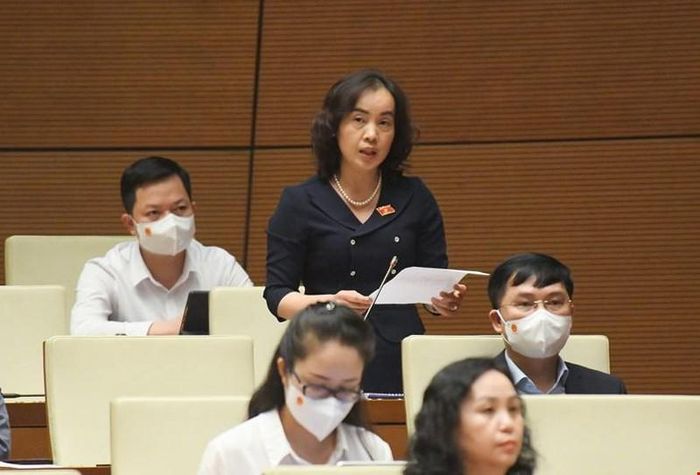 Đại biểu Nguyễn Thị Kim Anh.