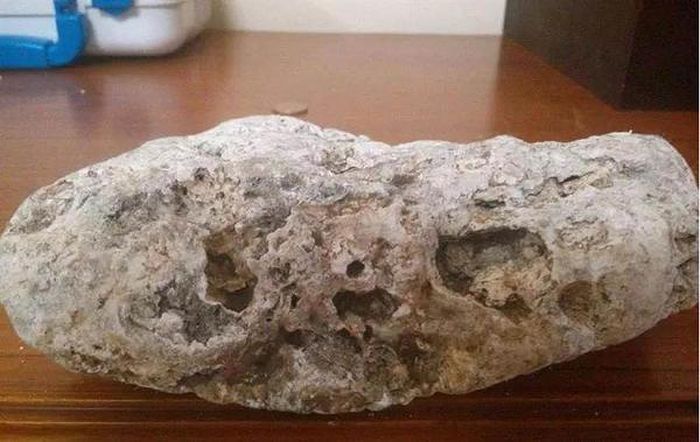Điều khiến long diên hương trở nên ngày càng quý giá và khan hiếm là số lượng cá nhà táng sụt giảm mạnh, hiện nay chỉ còn khoảng 350.000 con so với 1,1 triệu con trước khi bị đánh bắt.