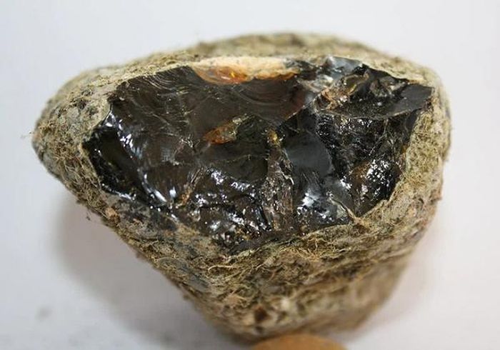 Trên thị trường, giá trị của long diên hương thậm chí còn đắt hơn cả vàng, bạc với giá thành có thể lên tới hơn 330 triệu đồng/kg. Vì vậy, quả thực chú chó của ông Wilman đã mang về cho chủ nhân một báu vật.