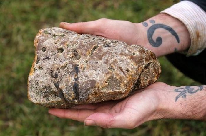 Long diên hương là chất béo tiết ra từ ruột cá nhà táng cứng dần theo thời gian và vô cùng quý hiếm. Thức ăn của cá nhà táng chủ yếu là mực nang, nhưng có những phần khó tiêu của con mồi như mỏ hay vỏ cứng khiến chúng phải nôn ra sau khi ăn.