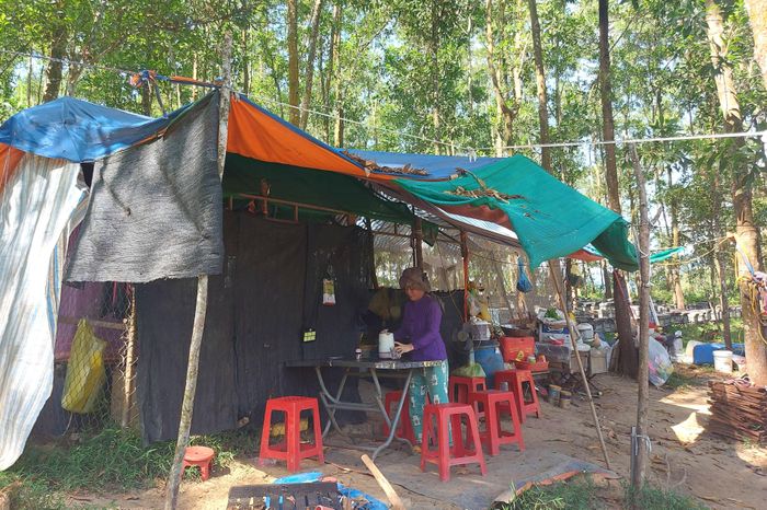 Làm nghề nuôi ong di cư, chị Tuyết sống tạm bợ trong những túp lều xiêu vẹo dựng dưới cánh rừng. Chị bảo: “Nhiều lúc nghĩ cũng tủi. Cuộc sống cứ nay đây, mai đó. Mỗi lúc mưa gió, ở một mình giữa rừng lại nhớ gia đình. Nhưng vì cuộc sống nên phải gắng gượng”.