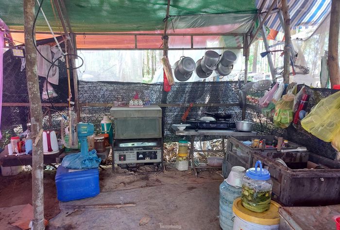 Theo chị Tuyết, mùa nào hoa nấy, nên một năm chị phải di chuyển đàn ong ít nhất 3 lần. Khi rừng keo ở Nghệ An không còn hoa để đàn ong hút mật, chị Tuyết lại phải thuê xe tải bốc 300 thùng nuôi ong di chuyển vào Bình Phước, để tiếp tục nuôi dưới tán rừng cao su… Bởi thế túp lều làm nơi ăn, ngủ của chị cũng được dựng đơn giản nhất có thể.