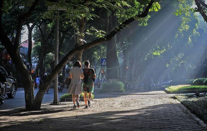 Những vạt nắng thu làm xao xuyến lòng người. Ảnh: Thành Đạt /TTXVN