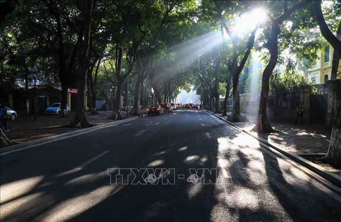 Những tia nắng sớm chải dài trên con đường Phan Đình Phùng. Ảnh: Thành Đạt/TTXVN