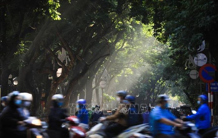 Những người đi làm sớm từ 7-8h qua con đường Phan Đình Phùng có thể vừa đi xe vừa ngắm những ray sáng. Ảnh: Thành Đạt/TTXVN