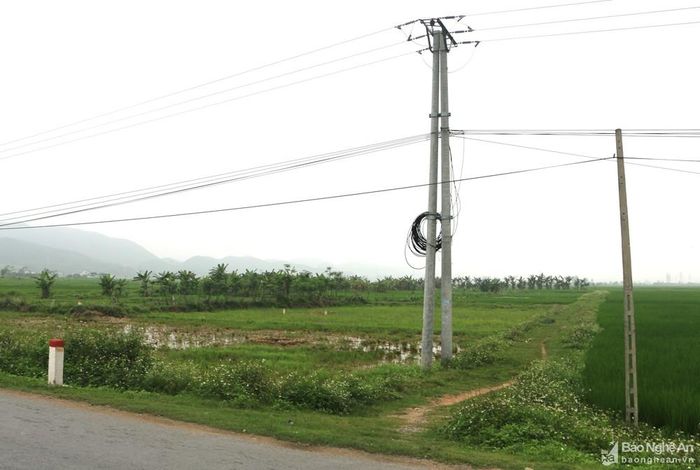 Đoạn nút giao cao tốc Bắc - Nam với Quốc lộ 48B tại xã Quỳnh Mỹ, huyện Quỳnh Lưu. Hiện trường hồi tháng 4 năm 2021 và hiện khu vực này đang được các nhà thầu khoan cọc khảo sát để làm điểm giao cắt. Ảnh: Nguyễn Hải