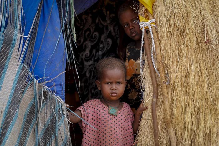 Một gia đình chăn nuôi gia súc tại Kuruti, gần hạt Garissa, Kenya. Ảnh: AP.