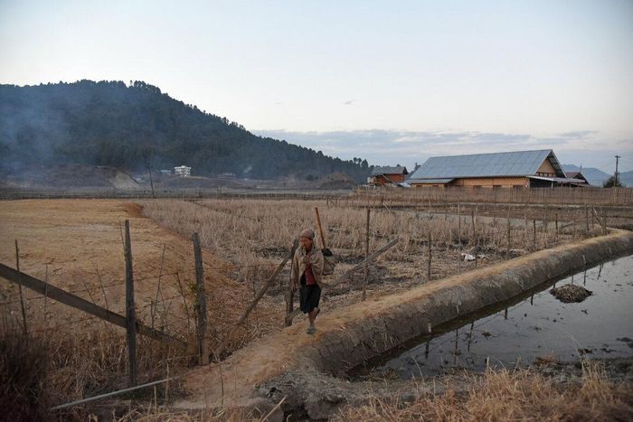 Người Apatani sống trong thung lũng Ziro.