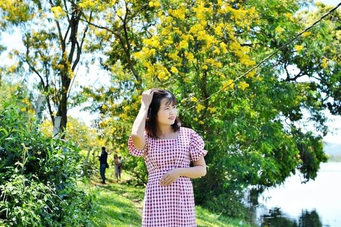Du khách đến tham quan và chụp ảnh cùng hoa muồng vàng tại thôn Tây Hồ (xã Bàu Cạn, huyện Chư Prông). Ảnh: Võ Thanh Thảo