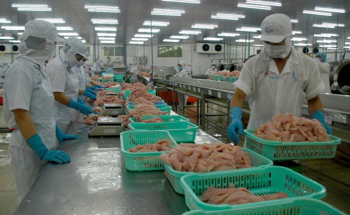 Xuất khẩu cá tra sang Trung Quốc giảm 20% trong 3 quý đầu năm 2021. Ảnh: Cảnh Kỳ 