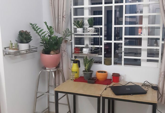 Khi sống riêng, Hoàng Anh dành nhiều tâm sức chăm chút cho căn nhà nhỏ, trồng nhiều cây, hoa và nuôi một chú chó. 