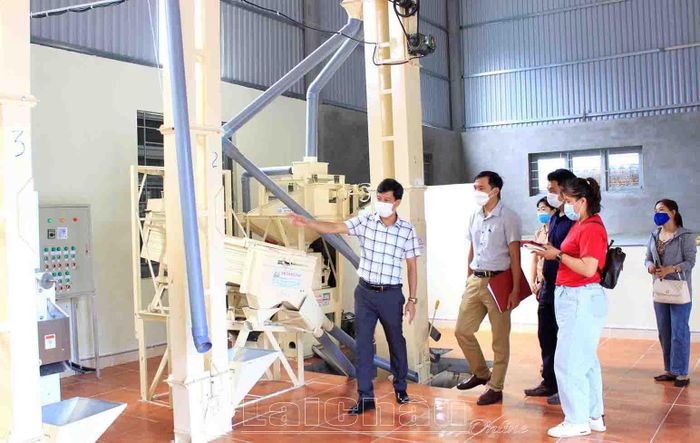 Hợp tác xã Công nghệ - Môi trường đầu tư trang thiết bị xay xát chế biến các sản phẩm gạo chất lượng cao trên địa bàn huyện Tân Uyên.