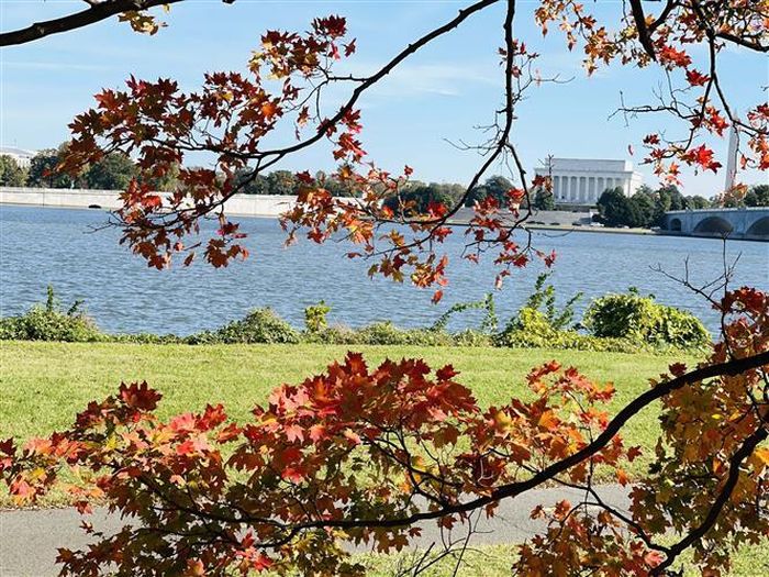 Đài tưởng niệm Lincoln ở thủ đô Washington, DC nhìn qua tán lá mùa Thu. Ảnh: Đặng Huyền - Pv TTXVN tại Mỹ