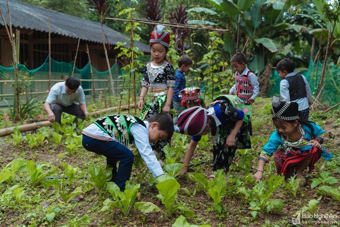 Ngoài giờ học thầy và trò cùng nhau chăm sóc vườn rau. Đây cũng là việc làm mà thầy Toàn muốn giúp các em học sinh có thêm kỹ năng sống. Ảnh: Đức Anh
