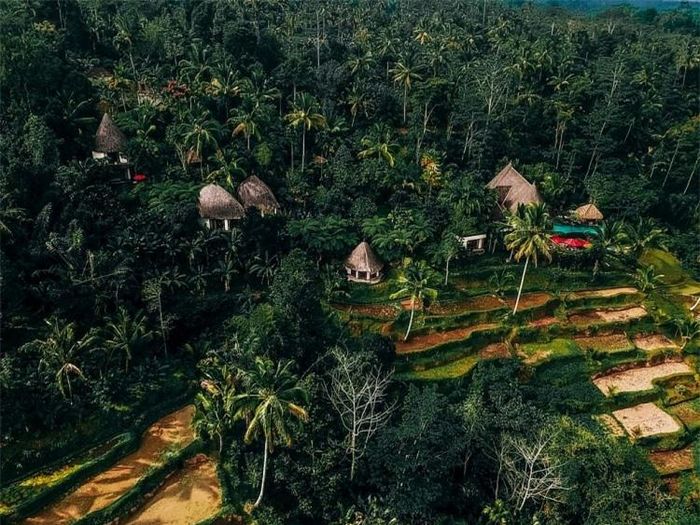 Ruộng bậc thang Tegallalang Bali