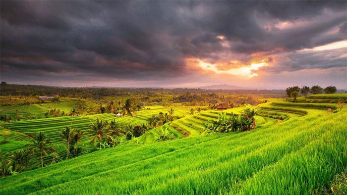 Ruộng bậc thang Jatidone