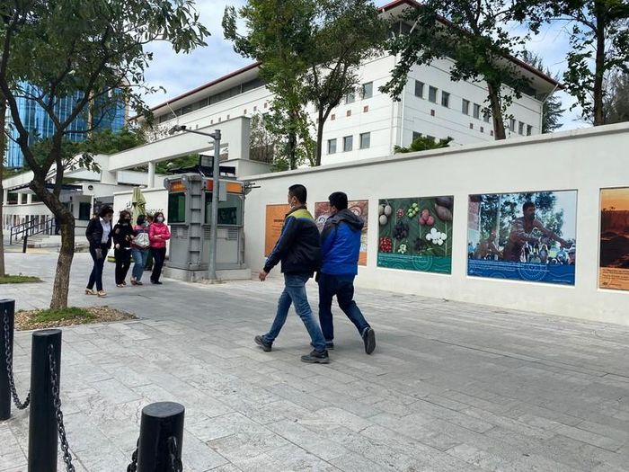 Gió lạnh khiến nhiều người ngại ra ngoài hơn.